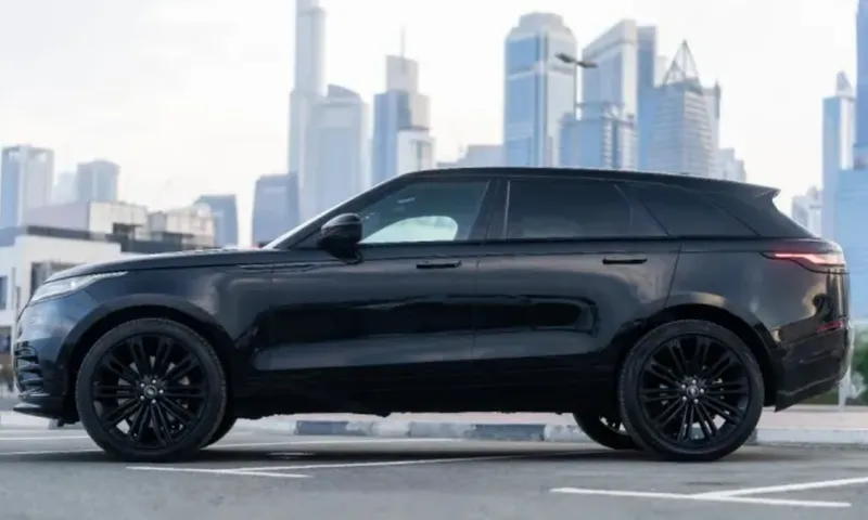 Velar image 2